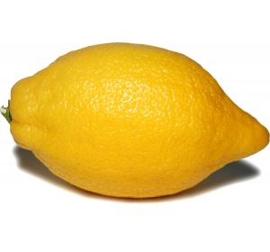 CITRON  KG