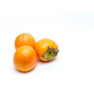 KAKI KG