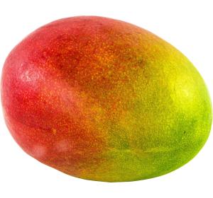 MANGUE KENT PIECE
