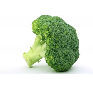 BROCOLI KG