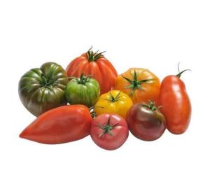 TOMATE COEUR DE BOEUF KG