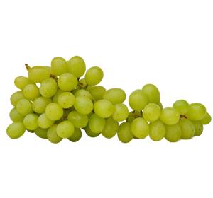 RAISIN VITTORIA KG