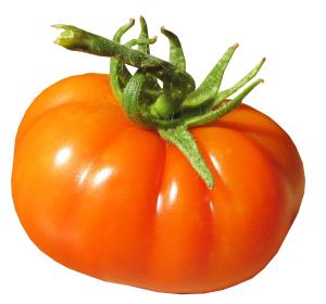 TOMATE MARMANDE KG