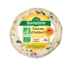 FOURME D AMBERT