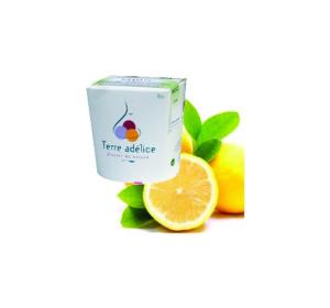SORBET CITRON