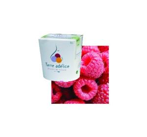 SORBET FRAMBOISE