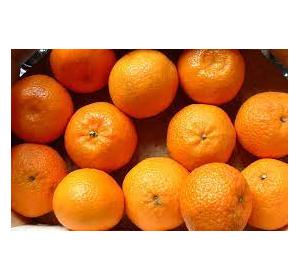 CLEMENTINE KG
