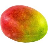 MANGUE KENT PIECE
