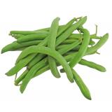 HARICOT VERT KG