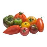 TOMATE COEUR DE BOEUF KG