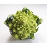 CHOU ROMANESCO PCE