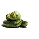 COURGETTE RONDE KG