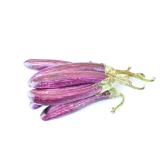 AUBERGINE GRAFFITY KG