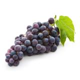 RAISIN CENTENIAL KG