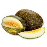 MELON VERT PIEL DE SAPO KG