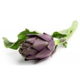 ARTICHAUT VIOLET KG