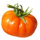 TOMATE MARMANDE KG