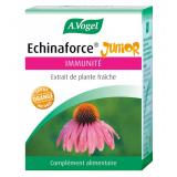 ECHINACEA ENFANTS