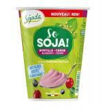 SO SOJA SANS SUCRE MYRTILLE CERISE