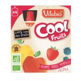 COOL FRUIT POMME FRAISE MYRTILLE  X4