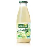 CITRONNADE CITRONS VERTS BIO