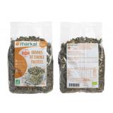 GRAINE DE COURGE TOASTEES