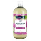 SHAMPOOING CHEVEUX GRAS