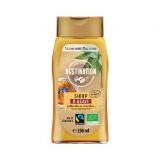 SIROP D'AGAVE 250ML