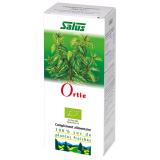 SUC D'ORTIE PLANTE FRAÎCHE
