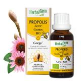 PROPOLIS JUNIOR GOUTTES