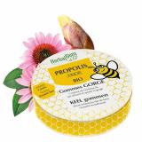 PROPOLIS GOMMES JUNIOR