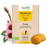 GOMMES PROPOLIS LARGE SPECTRE