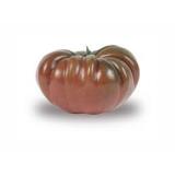 TOMATE NOIRE  KG